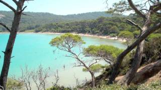 Isola di Porquerolles  Arcipelago delle Isole di Hyères  Francia [upl. by Yamauchi117]