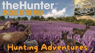 Hunting in Cuatro Colinas  theHunter Call of the Wild [upl. by Ietta]