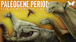 PALEOGENE PERIOD Animals Size Comparison and Data [upl. by Ninerb]