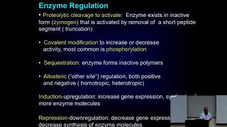 Enzyme Regulation an overview DrAJGhalayini [upl. by Raimundo]