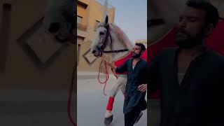 Buraq badshah islampura lahore matwali syed oaun kazmi [upl. by Inahpets975]