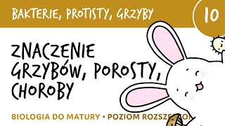 Znaczenie grzybów porosty grzybice i inne przykrości  Bakterie grzyby protisty 10  biologia [upl. by Namara994]