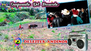 DELEITES ANDINOS  MIX SANJUANITOS DEL RECUERDO  Meseta Andina [upl. by Atteuqal727]