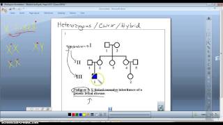 HeterozygousCarrier and Pedigrees [upl. by Leuneb]