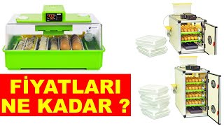 Kuluçka Makinesi Fiyatları  Kuluçka Makinesi Almadan İzleyin [upl. by Ecirted]