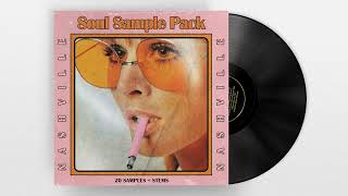 FREE SOUL SAMPLE PACK quotNashvillequot Vintage samples Kanye West Meek Mill [upl. by Dnilazor518]