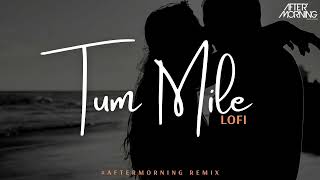 Tum Mile Lofi Song  Slowed  Reverb  Trending Song  Bollywood Romantic letest audio  Lavkush lks [upl. by Lefkowitz635]