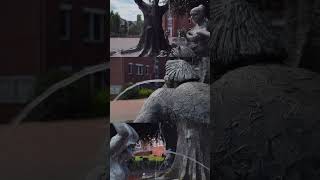 Schneverdingen 💜  Stadtbrunnen  Kultur  shorts [upl. by Anelah]