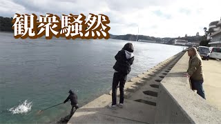 数百人が宿泊するホテル前の堤防で熊パワーを持つ魚が掛かり観衆は騒然なった [upl. by Mano798]