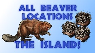 All Beaver Spawn Locations On The Island  Ark Survival Evolved 2021 [upl. by Sonstrom]