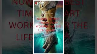 D Root Tamil  MOTIVATIONAL  shortvideo shortvideo motivationalquotes motivationalquotes [upl. by Rudd]