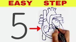 5 turns into Human Heart Diagram drawing  Class 10 Science diagram drawing [upl. by Stultz]