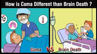 Coma vs Brain Death  How is Coma Different than Brain Death   in Hindi [upl. by Adnot]