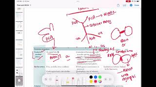 posterior cerebral artery stroke neurology 74  First Aid USMLE Step 1 in UrduHindi [upl. by Darmit]