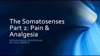 Somatosensation Pain amp Analgesia [upl. by Albie]