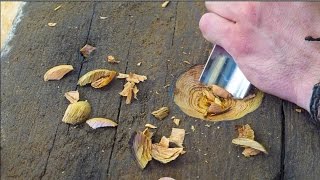 Carving A Spoon From 100 Year Old Pine [upl. by Enitsyrhc]