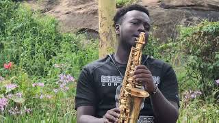 Cant help falling in love  Elvis presley sax cover [upl. by Dickinson855]