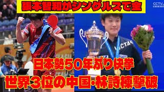 張本智和がシングルスで金🏅🏆日本勢50年ぶり快挙、世界3位の中国・林詩棟撃破 【卓球 アジア選手権】 [upl. by Olshausen]