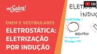 Me Salva ELT08  Eletrostática  Eletrização por Indução [upl. by Eannej]