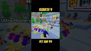 Pet sim 99 rebirth new update [upl. by Alegnave]