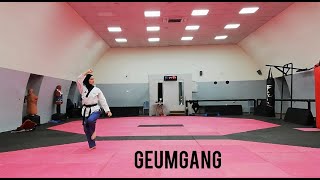 POOMSAE 10 GEUMGANG [upl. by Eimar]