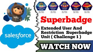 Extended User Access and Restriction Superbadge Unit  Salesforce  Challenge 1 [upl. by Larue]