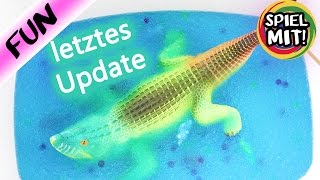 Letztes KROKODIL UPDATE  Was ist aus Kathis Krokodil in GLIBBI und ORBEEZ geworden Spiel mit mir [upl. by Kcirddes]