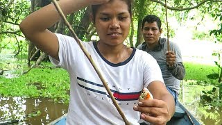 Fishing Piranhas in the Amazon River Peruvian Village Food [upl. by Enytsuj]