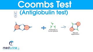 COOMBS TEST antiglobulin test made simple [upl. by Roshan]