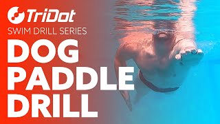 Dog Paddle Drill  TriDot Swim Drill Series [upl. by Okiruy]