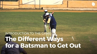 The Different Ways to Get Out  Cricket [upl. by Eeima]