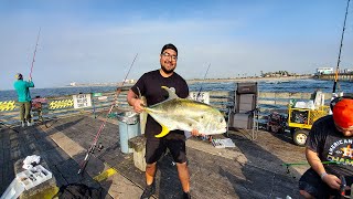 What an incredible Morning Crevalle Jack Run  Galveston Fishing [upl. by Kassity380]