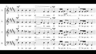 O Sapientia score video  Isaac Lovdahl 2015 [upl. by Isdnil]