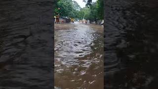 Nungambakkam rainfall rainwater cyclone rain water chennai weather [upl. by Yasmeen]