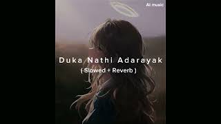 Duka Nathi Adarayak  Slowed  Reverb [upl. by Naejeillib]