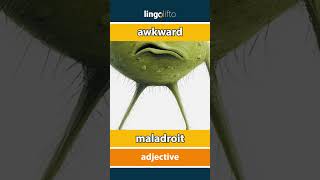 🇬🇧🇫🇷 awkward  maladroit  vocabulary builder  learn English  apprenons langlais [upl. by Bekelja]