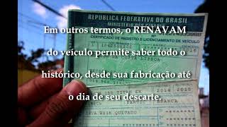 Consultar Documento Pelo RENAVAM ou Placa DETRAN [upl. by Aihtnyc48]