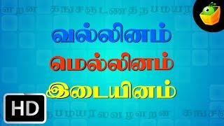 Ka Na Cha Naa  Kasada Thapara  Chellame Chellam  Tamil Rhymes For Kutties [upl. by Arihday]