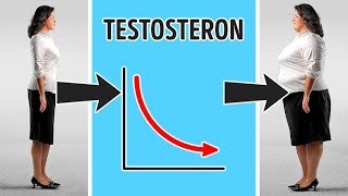 9 Hormone die zu Gewichtszunahme führen und Möglichkeiten dies zu vermeiden [upl. by Anayra620]