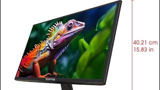 Sceptre 24inch Professional Thin 1080p LED Monitor 99 sRGB 2x HDMI [upl. by Assisi]