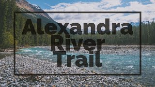 BACKPACKING  ALEXANDRA RIVER TRAIL PART 24  BANFF NATIONAL PARK [upl. by Ekenna]