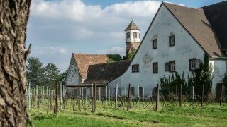 Edenkobener Pflanzen und Gartenmarkt Weinstraße Rietburgbahn [upl. by Olraced]