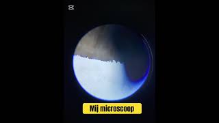 Microscoop music subscribe shorts ￼ [upl. by Sergent]