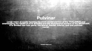 Medical vocabulary What does Pulvinar mean [upl. by Setiram166]