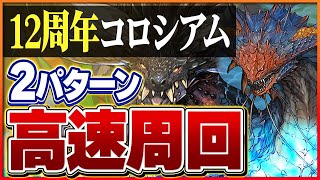 【12周年記念コロシアム】ネロミェール＆ネルギガンテ周回編成！クエストクリアも可能！【パズドラ】 [upl. by Hanas]