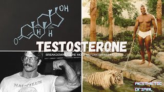 Understanding the intricacies of Testosterone masculinize yourself [upl. by Ronel]