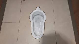 146 Singapore toilet 🇸🇬 Johnson Suisse squat toilet [upl. by Tarryn]