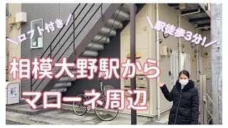 【不動産屋さんの街紹介】相模大野駅からマローネまでご案内 [upl. by Ytisahcal]