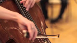 Haydn Cello Concerto in D Major mvt 1 Wilhelmina Smith cello [upl. by Eetnom646]