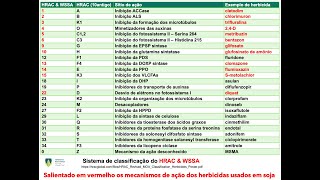 Classificação dos herbicidas [upl. by Ellainad]